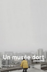 Voir film Un musée dort en streaming HD