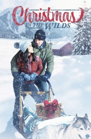 Voir film Christmas in the Wilds en streaming HD